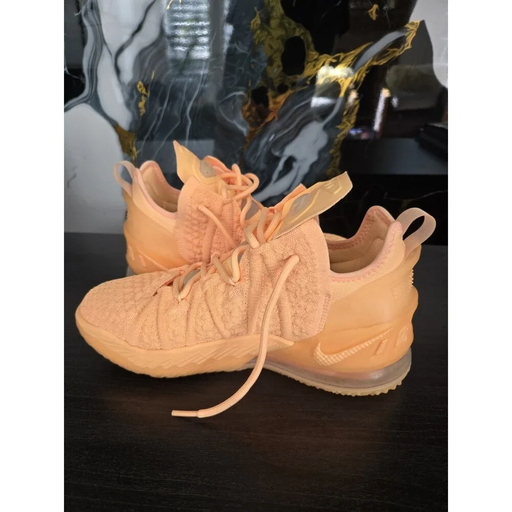 Nike lebron 18